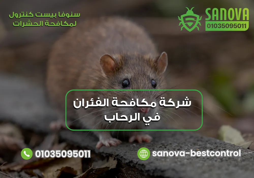 شركة مكافحة الفئران في الرحاب | سنوفا 01035095011 شركة مكافحة الفئران في الرحاب مع سنوفا بست كنترول 01035095011