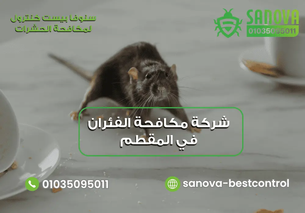 شركة مكافحة الفئران في المقطم | سنوفا 01035095011 شركة مكافحة الفئران في المقطم سنوفا 01035095011