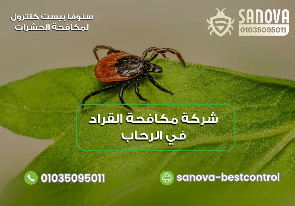 شركة مكافحة القراد في الرحاب | سنوفا 01035095011 شركة مكافحة القراد في الرحاب | سنوفا 01035095011