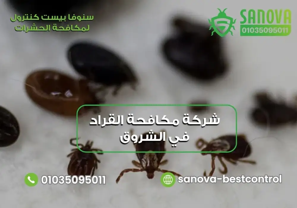 شركة مكافحة القراد في الشروق | سنوفا 01035095011 شركة مكافحة القراد في المقطم سنوفا 01035095011