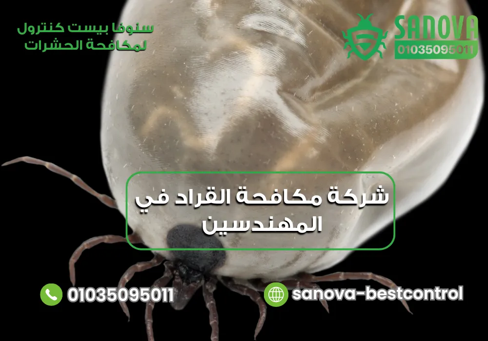 شركة مكافحة القراد في المهندسين | سنوفا 01035095011 شركة مكافحة القراد في المهندسين مع سنوفا بست كنترول 01035095011