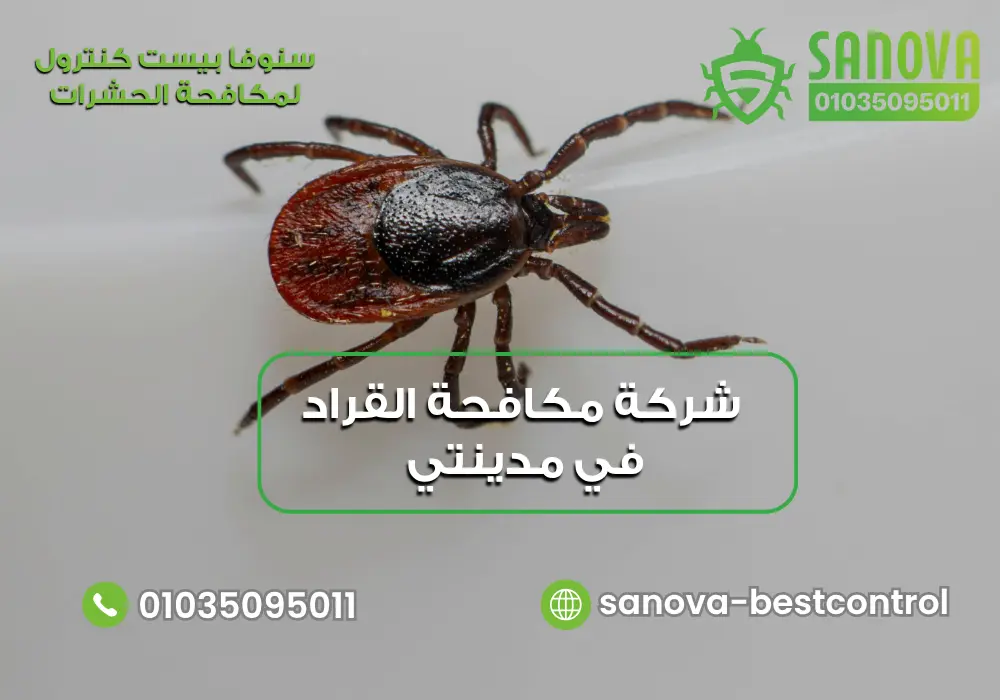 شركة مكافحة القراد في مدينتي مع سنوفا بست كنترول 01035095011