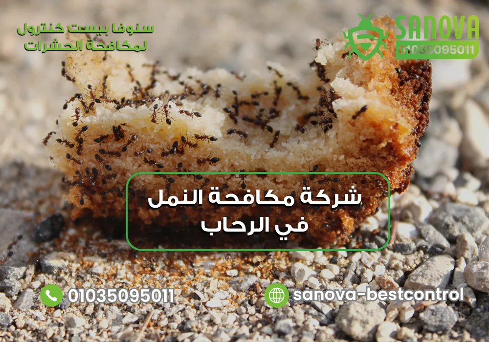 شركة مكافحة النمل في الرحاب | سنوفا 01035095011