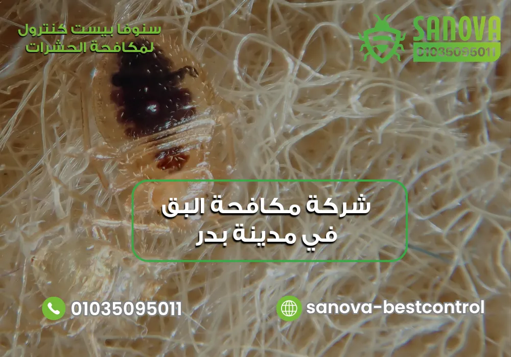 شركة مكافحة البق في مدينة بدر | سنوفا 01035095011