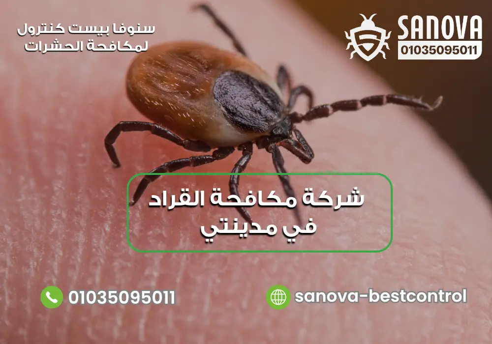 كيفية إبادة القراد في مدينتي مع سنوفا بست كنترول 01035095011