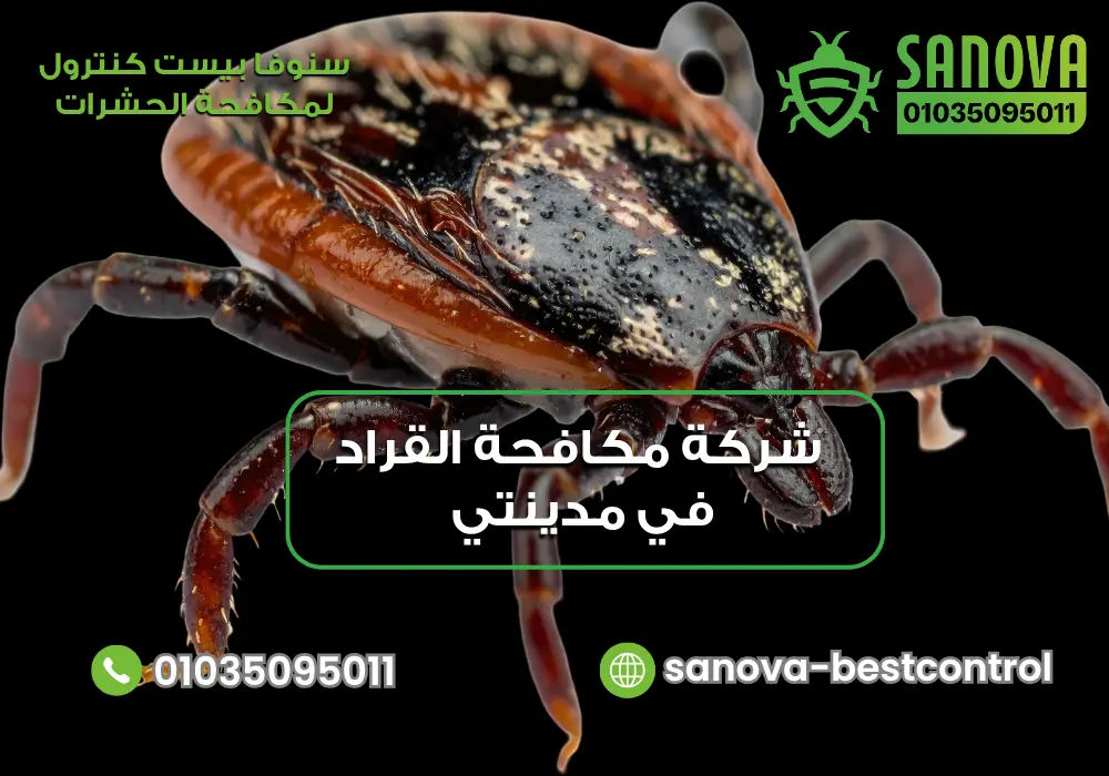 كيفية التخلص من القراد نهائيًا مع سنوفا بست كنترول 01035095011