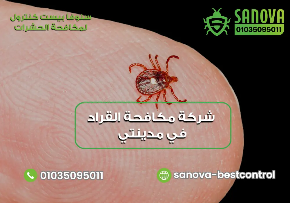 كيفية رش القراد في مدينتي مع سنوفا بست كنترول 01035095011