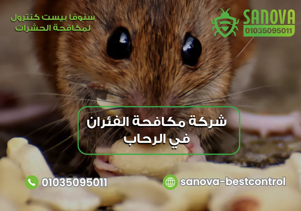 شركة مكافحة الفئران في الرحاب | سنوفا 01035095011 مكافحة القوارض في الرحاب مع سنوفا بست كنترول 01035095011