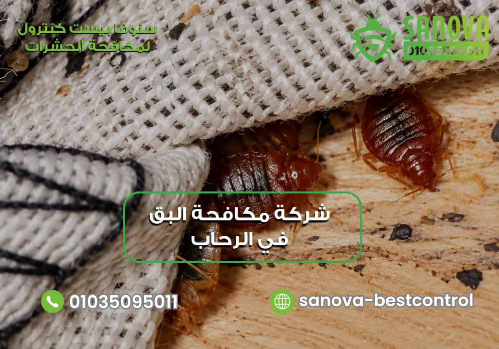شركة مكافحة البق في الرحاب | سنوفا 01035095011 مكافحة بق الفراش في الرحاب مع سنوفا بست كنترول 01035095011