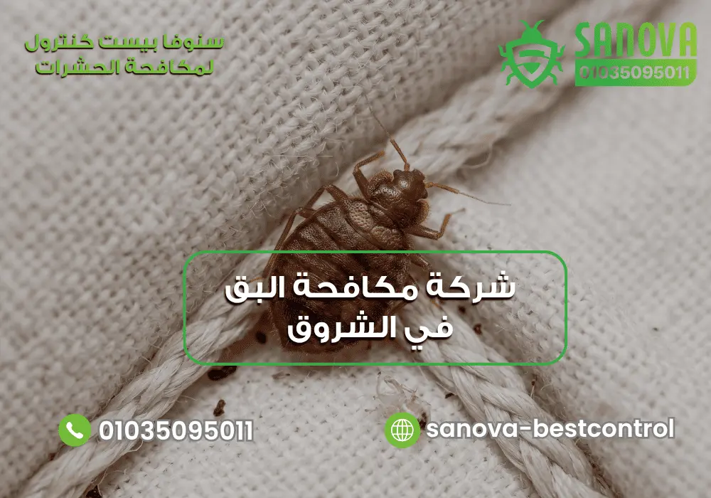 شركة مكافحة البق في الشروق | سنوفا 01035095011