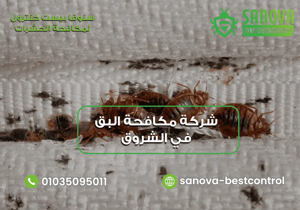 مكافحة بق الفراش في الشروق سنوفا 01035095011