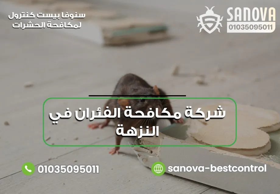 شركة مكافحة الفئران في النزهة | سنوفا 01035095011 أسباب انتشار الفئران في منطقة النزهة