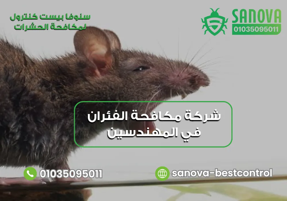 أسعار مكافحة الفئران في المهندسين مع سنوفا بست كنترول 01035095011