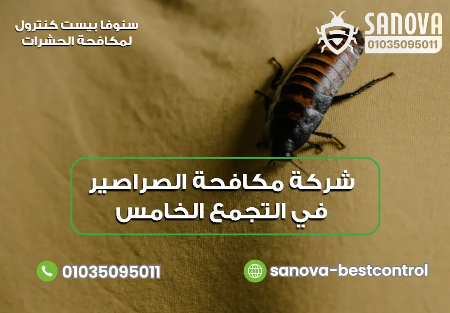 شركة مكافحة الصراصير في التجمع الخامس – سنوفا 01035095011 أفضل شركة مكافحة الصراصير في التجمع الخامس