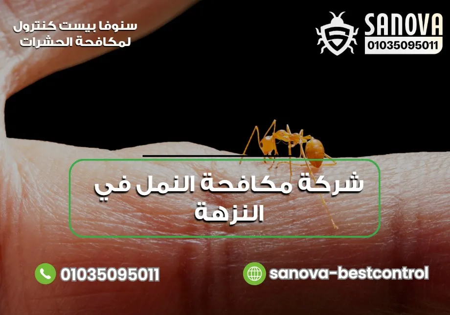 اطلب خدمة مكافحة النمل في النزهة من سنوفا بست كنترول