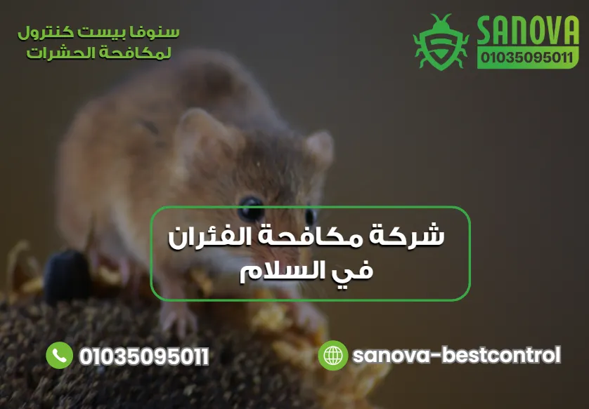 خدمات مكافحة الفئران في السلام من سنوفا بست كنترول