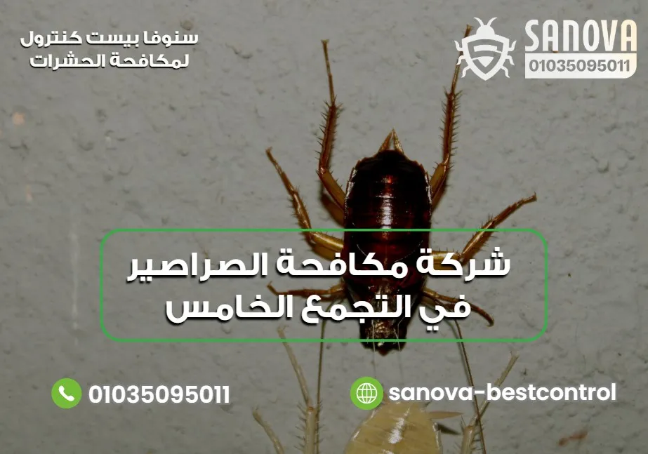 شركة مكافحة الصراصير في التجمع الخامس – سنوفا 01035095011 خطوات العمل داخل شركة مكافحة الصراصير في التجمع الخامس
