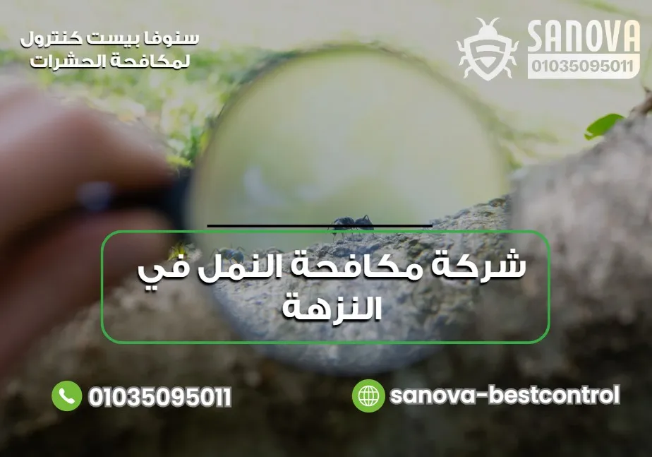 شركة سنوفا بست كنترول لمكافحة النمل في النزهة