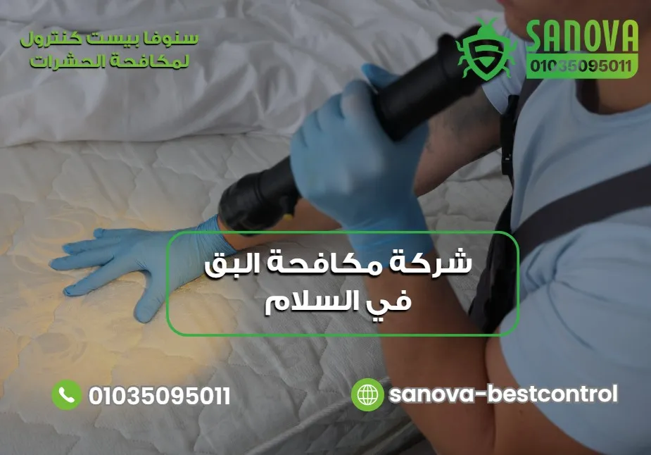 شركة مكافحة البق في السلام