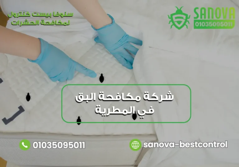 شركة مكافحة البق في المطرية – سنوفا 01035095011