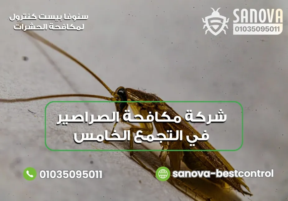 شركة مكافحة الصراصير في التجمع الخامس – سنوفا 01035095011