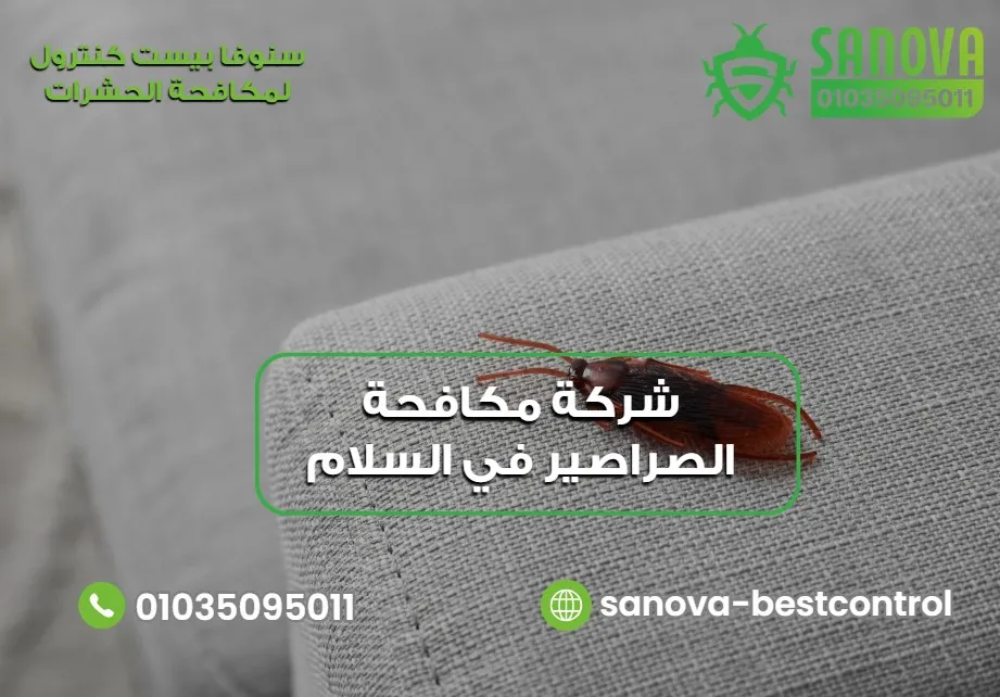 شركة مكافحة الصراصير في السلام | سنوفا 01035095011 شركة مكافحة الصراصير في السلام
