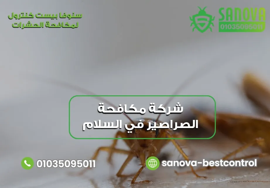 شركة مكافحة الصراصير في السلام | سنوفا 01035095011 شركة مكافحة الصراصير في السلام