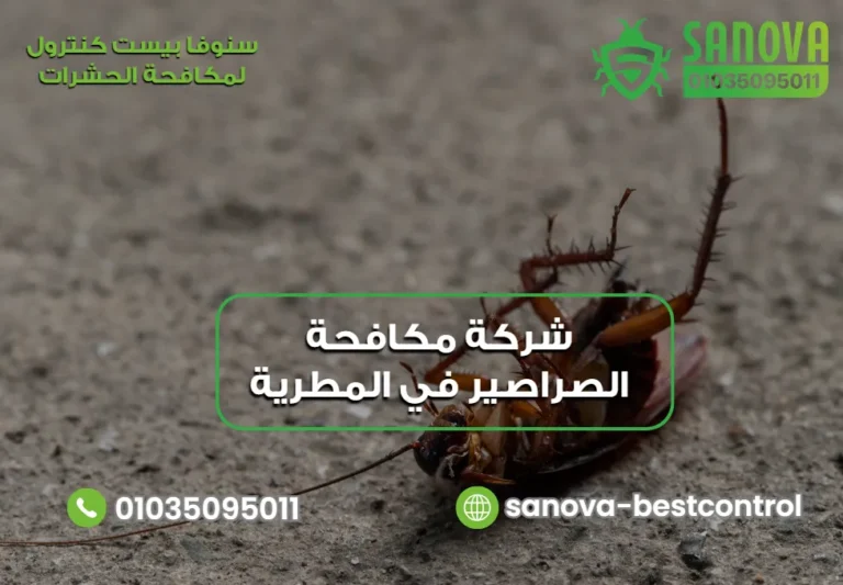 شركة مكافحة الصراصير في المطرية – سنوفا 01035095011
