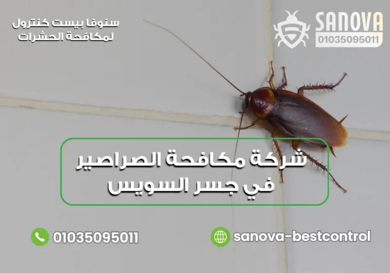 شركة مكافحة الصراصير في جسر السويس | سنوفا 01035095011 شركة مكافحة الصراصير في جسر السويس | سنوفا 01035095011