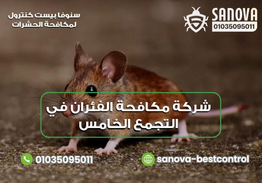 شركة مكافحة الفئران في التجمع الخامس | سنوفا 01035095011