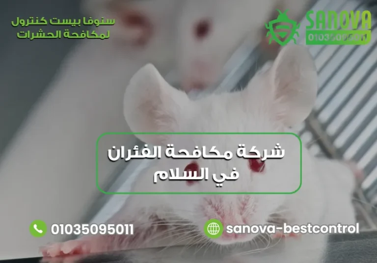 شركة مكافحة الفئران في السلام | سنوفا 01035095011