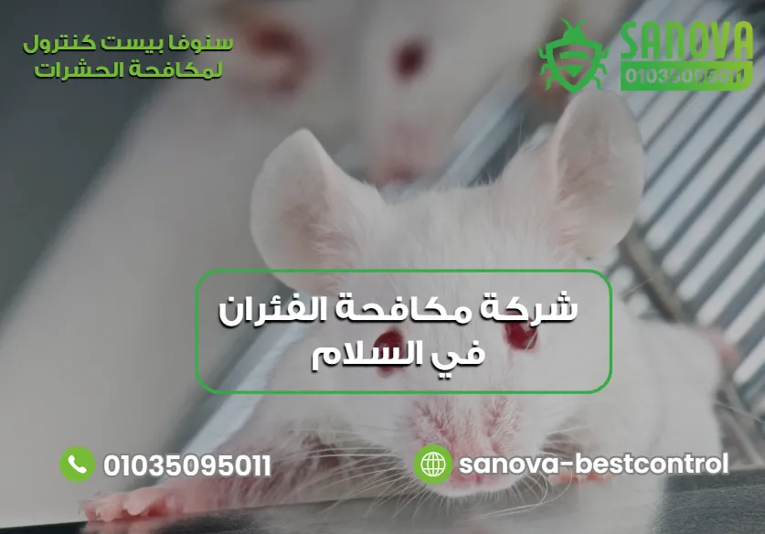 شركة مكافحة الفئران في السلام