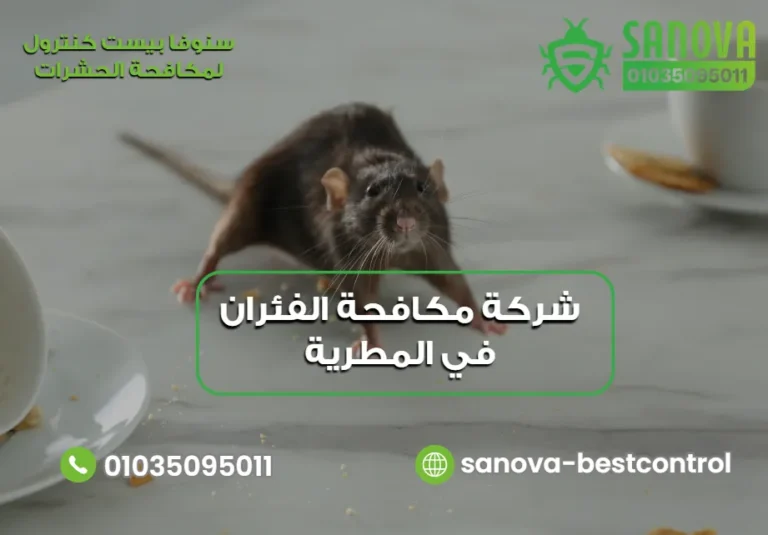 شركة مكافحة الفئران في المطرية | سنوفا 01035095011