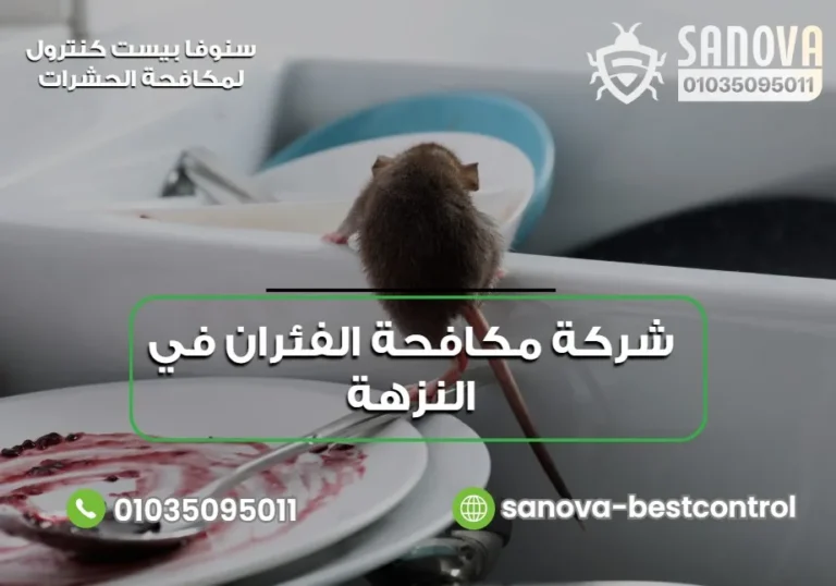 شركة مكافحة الفئران في النزهة | سنوفا 01035095011 شركة مكافحة الفئران في النزهة | سنوفا 01035095011