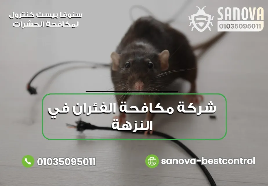 شركة مكافحة الفئران في النزهة | سنوفا 01035095011 شركة مكافحة الفئران في النزهة للمنازل والمنشآت التجارية