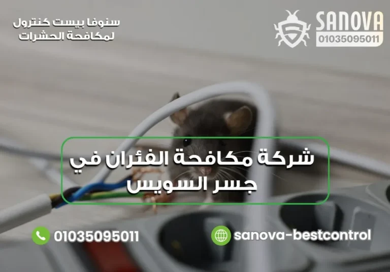 شركة مكافحة الفئران في جسر السويس | سنوفا 01035095011
