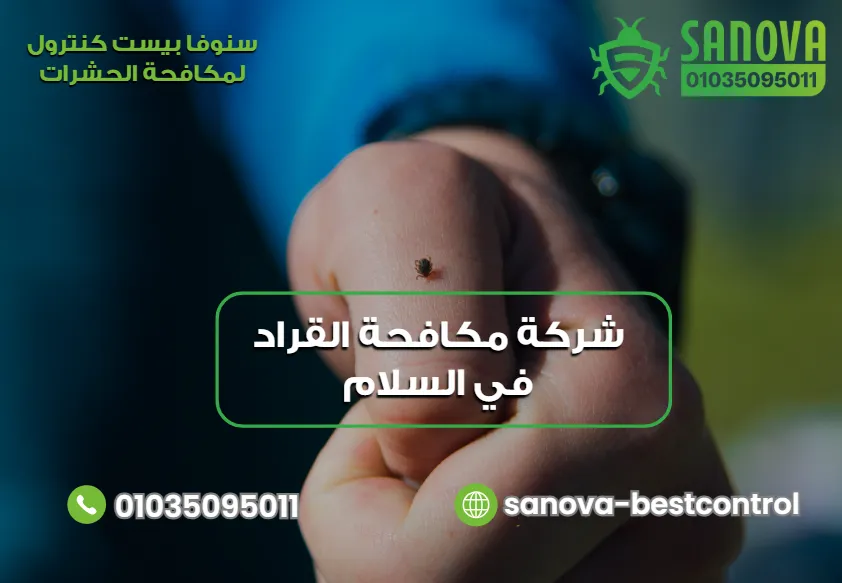 شركة مكافحة القراد في السلام