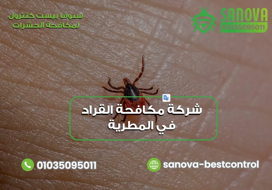 شركة مكافحة القراد في المطرية
