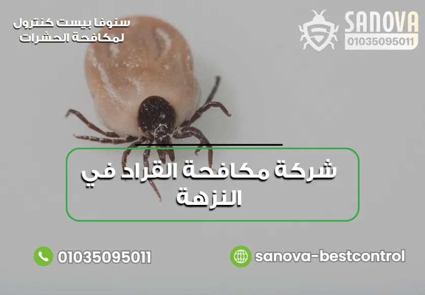 شركة مكافحة القراد في النزهة | سنوفا 01035095011 شركة مكافحة القراد في النزهة للمنازل والعقارات