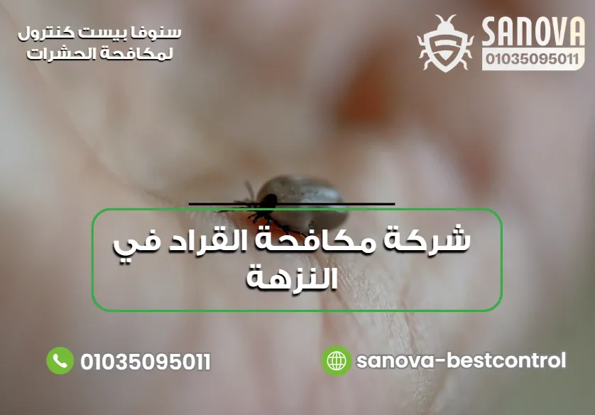 شركة مكافحة القراد في النزهة
