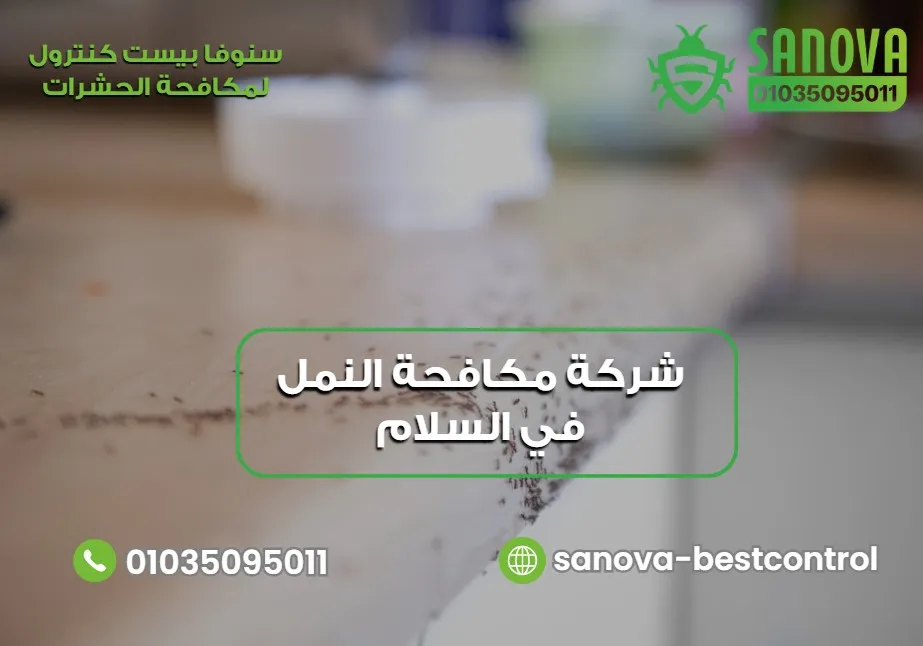 شركة مكافحة النمل في السلام | سنوفا 01035095011 شركة مكافحة النمل في السلام