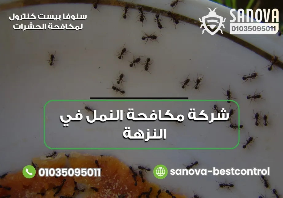 شركة مكافحة النمل في النزهة
