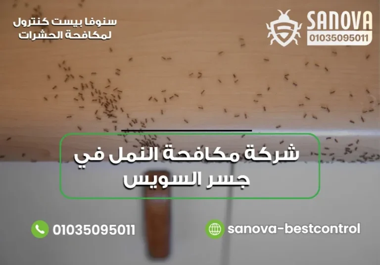 شركة مكافحة النمل في جسر السويس | سنوفا 01035095011 شركة مكافحة النمل في جسر السويس | سنوفا 01035095011