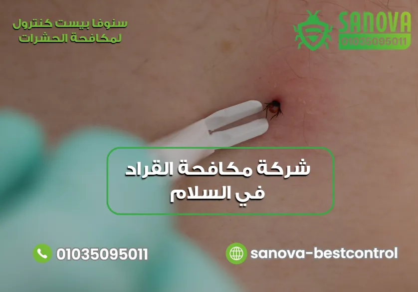لماذا تحتاج إلى شركة مكافحة القراد في السلام