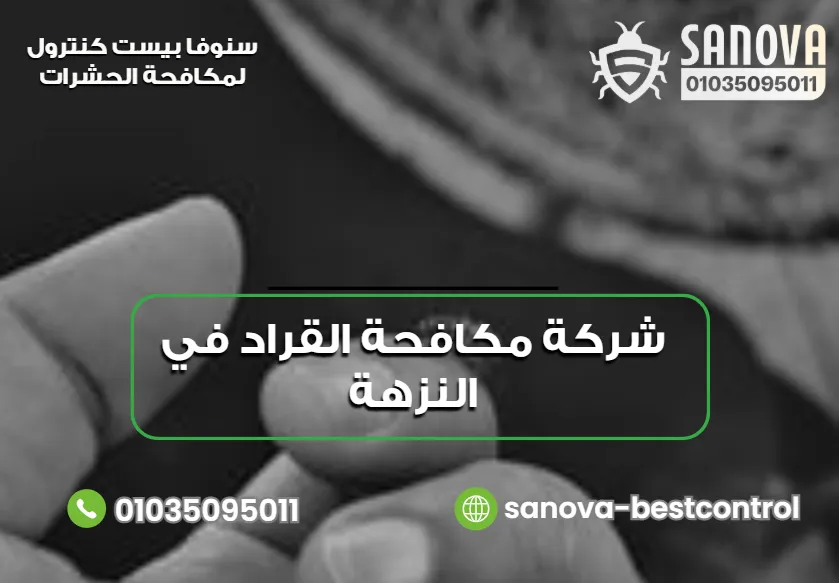 شركة مكافحة القراد في النزهة | سنوفا 01035095011 لماذا تحتاج إلى شركة مكافحة القراد في النزهة