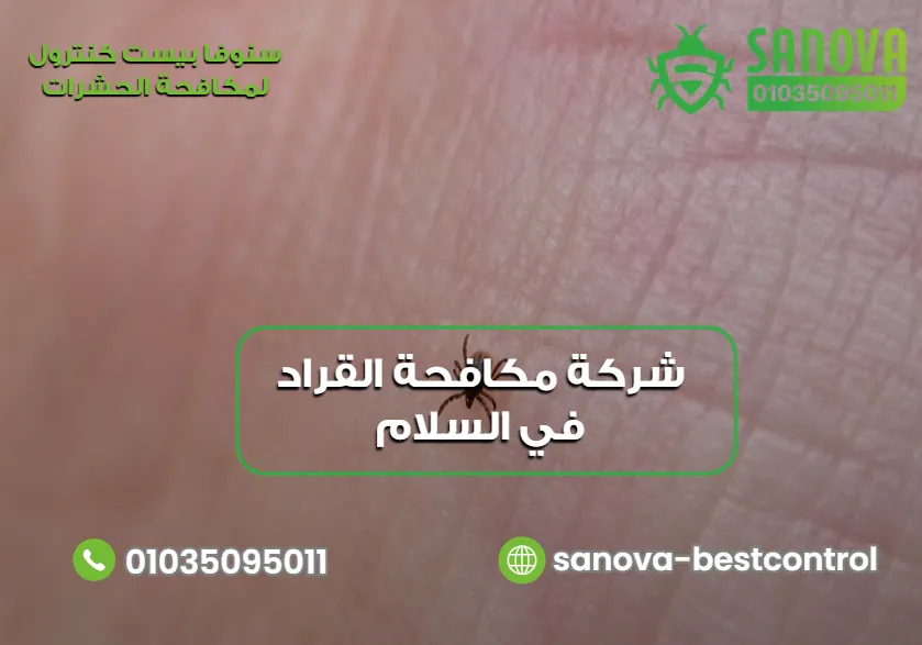 لماذا تختار سنوفا بست كنترول لإبادة الحشرات