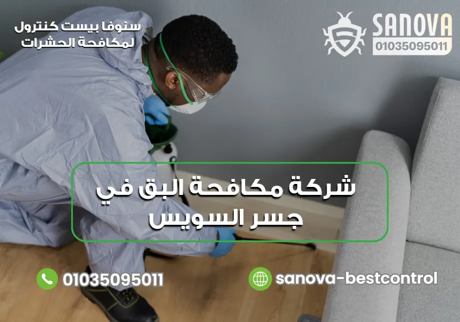 لماذا تختار سنوفا بست كنترول لمكافحة البق