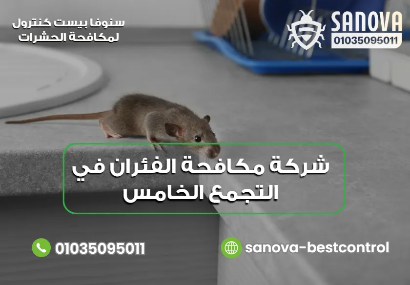 شركة مكافحة الفئران في التجمع الخامس | سنوفا 01035095011 متى تحتاج إلى شركة مكافحة الفئران في التجمع الخامس