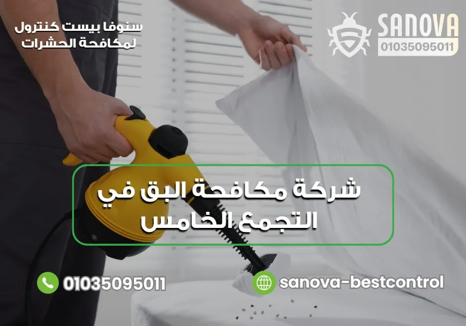 شركة مكافحة البق في التجمع الخامس | سنوفا 01035095011 نصائح لمنع عودة البق بعد عملية المكافحة