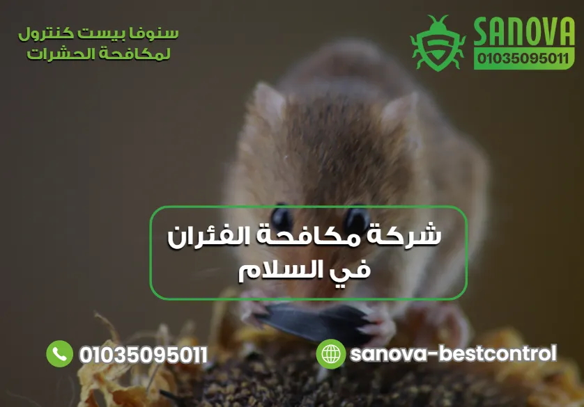 نصائح لمنع عودة الفئران بعد المكافحة